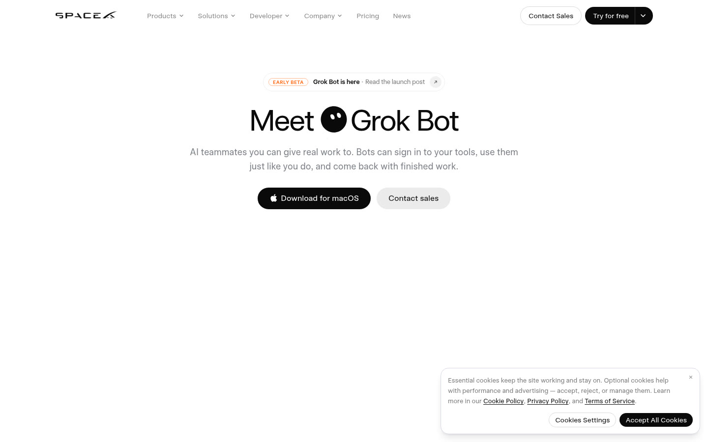 Meet Grok Bot